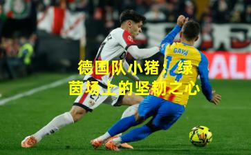 德国队小猪：绿茵场上的坚韧之心
